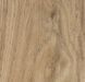 Forbo Allura Dryback 0.4 Wood 60300DR4 central oak central oak