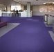 Forbo Flotex Colour t382024 Penang purple