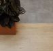 Forbo Allura Decibel 0.8 Material 6602AD8 smoke slabstone (50x50 cm)