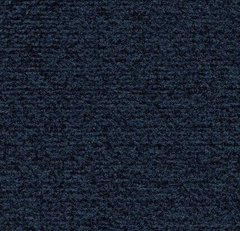 Вхідна система Forbo Coral Classic 4737 prussian blue prussian blue