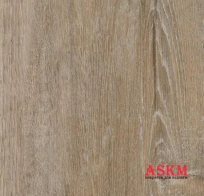 Forbo Enduro 69330DR3/69330CL3 natural timber natural timber