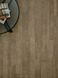 Amtico Access Wood Bleached Elm SX5W2516