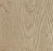 Forbo Allura Click Pro 60064CL5 whitewash elegant oak whitewash elegant oak