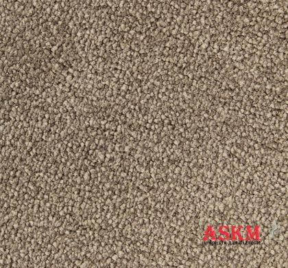 Edel Carpets Ambition 153 Taupe 153 Taupe