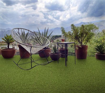 Easy Lawn Tangerine
