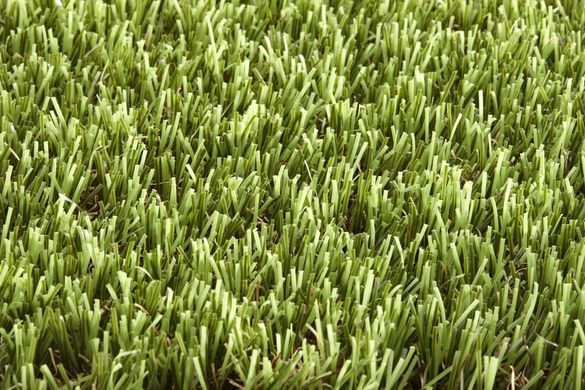 Easy Lawn Tangerine