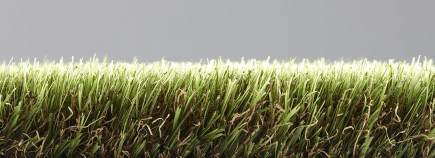 Easy Lawn Tangerine