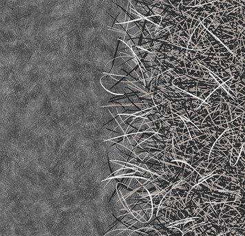 Forbo Flotex від Starck 312001 Vortex white A2 Vortex white A2