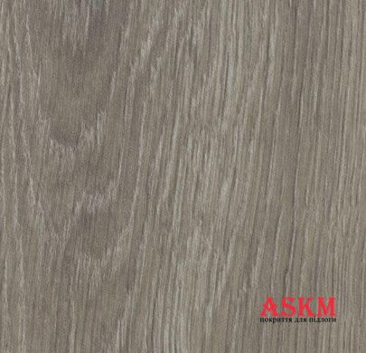 Forbo Allura Dryback Wood 60280DR7/60280DR5 grey giant oak grey giant oak
