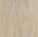 Forbo Allura Dryback 0.4 Wood 60084DR4 bleached rustic pine bleached rustic pine