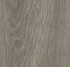 Forbo Allura Dryback 0.7 Wood 60280DR7 grey giant oak grey giant oak