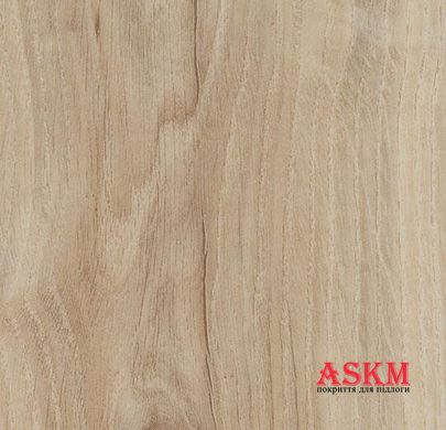 Forbo Allura Dryback Wood 60305DR7/60305DR5 light honey oak light honey oak