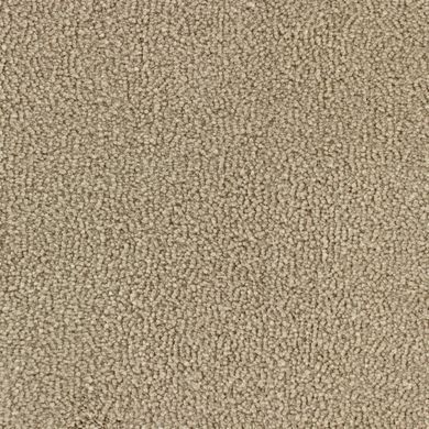 Edel Carpets Serene 132 Clarity 132 Clarity