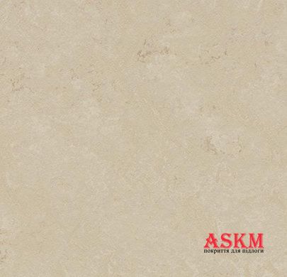 Forbo Marmoleum Solid Concrete 3711/371135 cloudy sand * cloudy sand