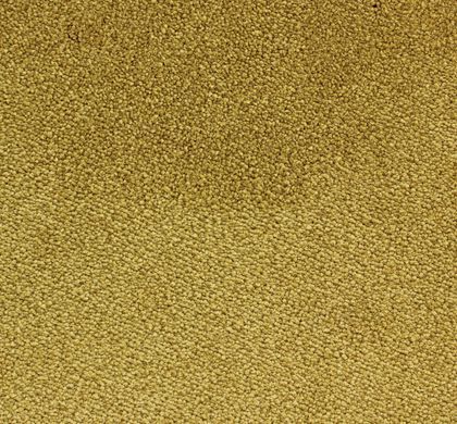 Edel Carpets Ambition 146 Ocre 146 Ocre