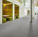 Forbo Flotex Colour t545022 Canyon limestone