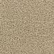 Edel Carpets Serene 132 Clarity
