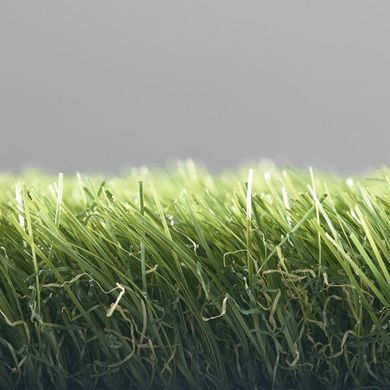 Easy Lawn Polaris