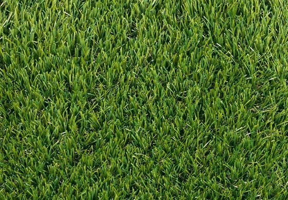 Easy Lawn Polaris