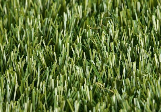 Easy Lawn Polaris
