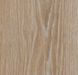 Forbo Allura Dryback 0.55 Wood 63412DR5 blond timber blond timber