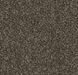 Входная система Forbo Coral Classic 4764 taupe Taupe