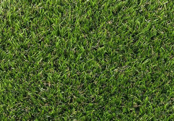 Easy Lawn Castor