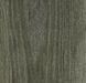 Forbo Allura Dryback 0.7 Wood 63664DR7 sage ash sage ash
