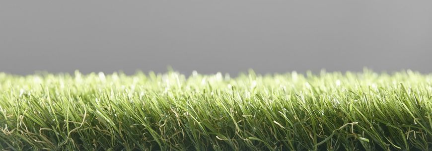 Easy Lawn Castor