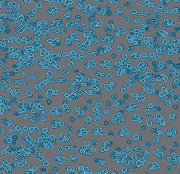 Forbo Flotex от Sottsass 990303 Bacteria 990303 Bacteria