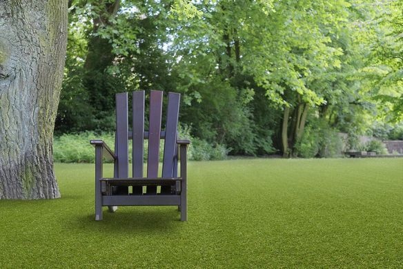 Easy Lawn Poppy