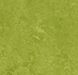 Forbo Marmoleum Decibel on order 324735 green green