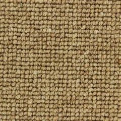 Edel Carpets Centre Point 142 Biscuit 142 Biscuit