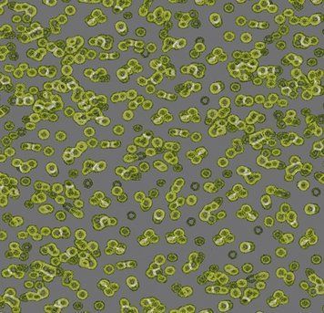 Forbo Flotex от Sottsass 990302 Bacteria 990302 Bacteria