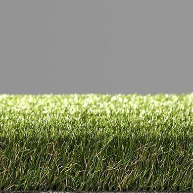 Easy Lawn Daisy