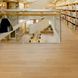 Polyflor Acoustix Forest fx PUR Classic Oak 3125