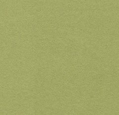 Forbo Flotex Borders 211085/232085 citrus citrus