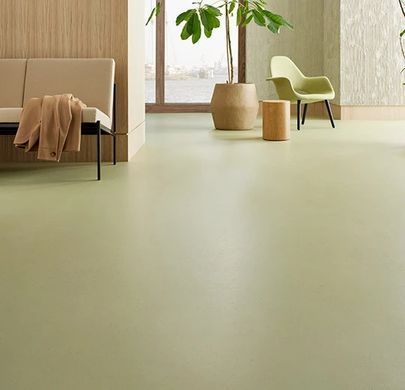 Forbo Marmoleum Solid Cocoa 3593 matcha matcha