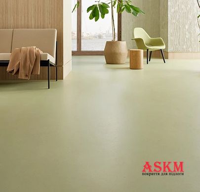 Forbo Marmoleum Solid Cocoa 3593 matcha matcha