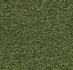 Входная система Forbo Coral Bright 2608 fresh grass fresh grass