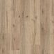 Polyflor Expona Commercial Wood PUR Oiled Oak 4098 Oiled Oak