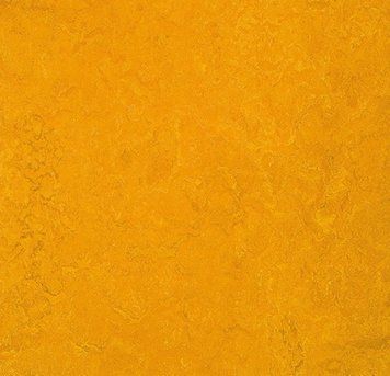 Forbo Marmoleum Decibel on order 312535 golden sunset golden sunset