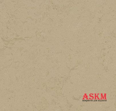 Forbo Marmoleum Solid Concrete 3728/372835 Kaolin Kaolin