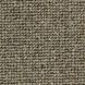 Edel Carpets Centre Point 259 Slate 259 Slate