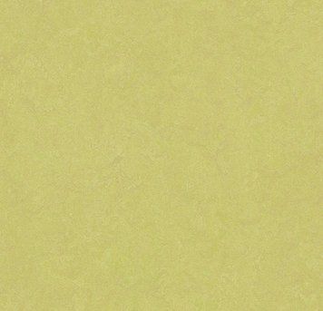 Forbo Marmoleum Decibel on order 388535 spring buds spring buds