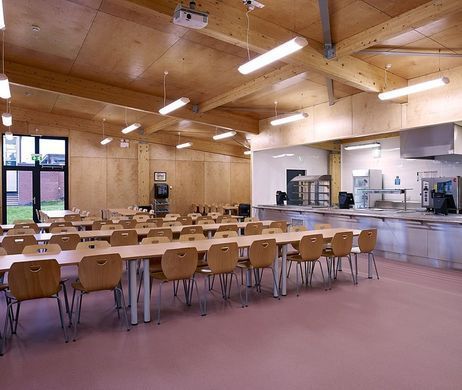 Polyflor Polysafe Verona PUR Chocolate Chip 5215 Chocolate Chip