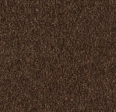 Вхідна система Forbo Coral Marine FR 4226FR Tanger brown Tanger brown