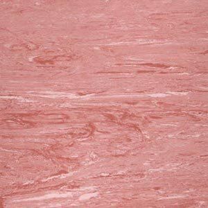 Polyflor Voyager PU 3800 Voyager PU 3800
