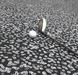 Forbo Flotex от Sottsass 990106 Bacteria