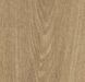 Forbo Allura Dryback 0.55 Wood 60284DR5 natural giant oak